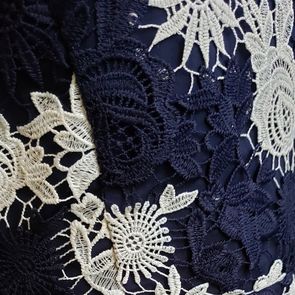 Banana Republic Lace Dress - Picture 3 of 4